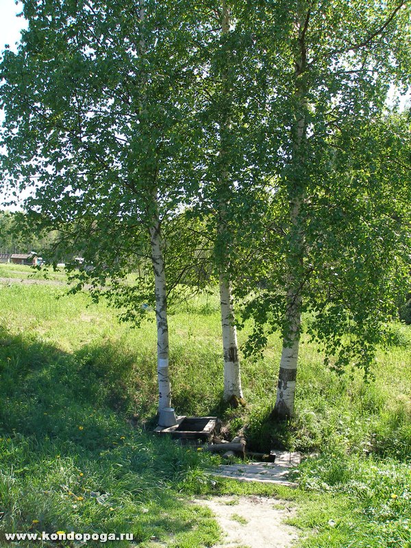 http://www.kondopoga.ru/uploads/posts/2008-05/1210177191_3_08.jpg